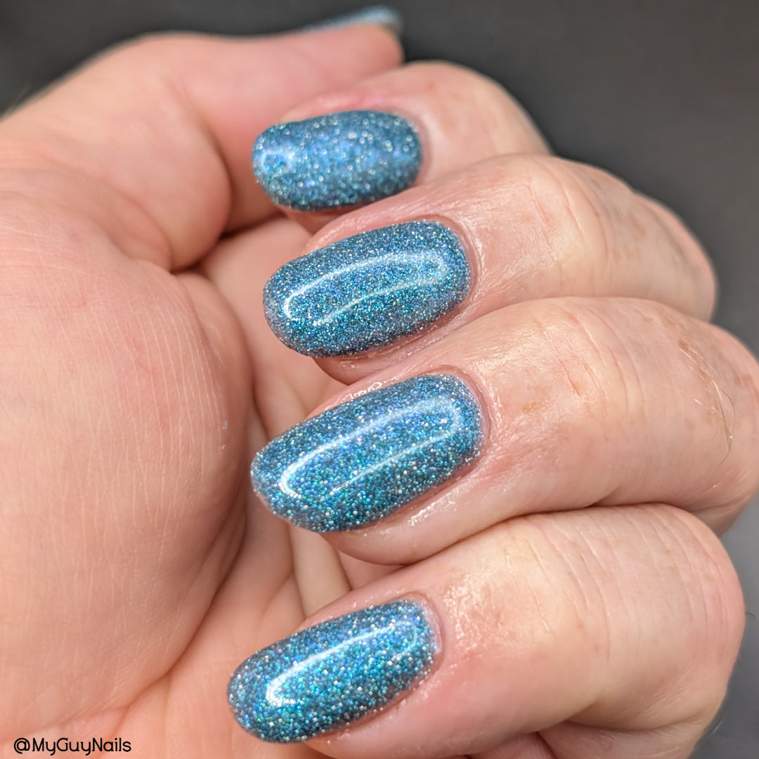 SPARK-A-LEE FOR LIFE (reflective glitter)