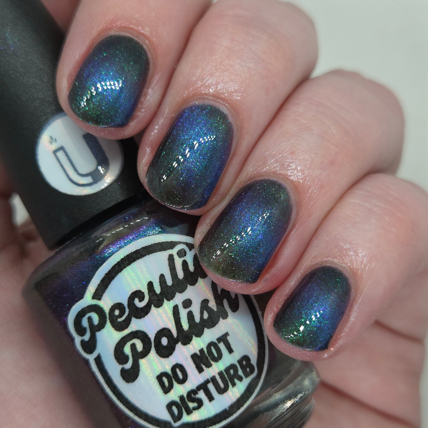 DO NOT DISTURB (magnetic)