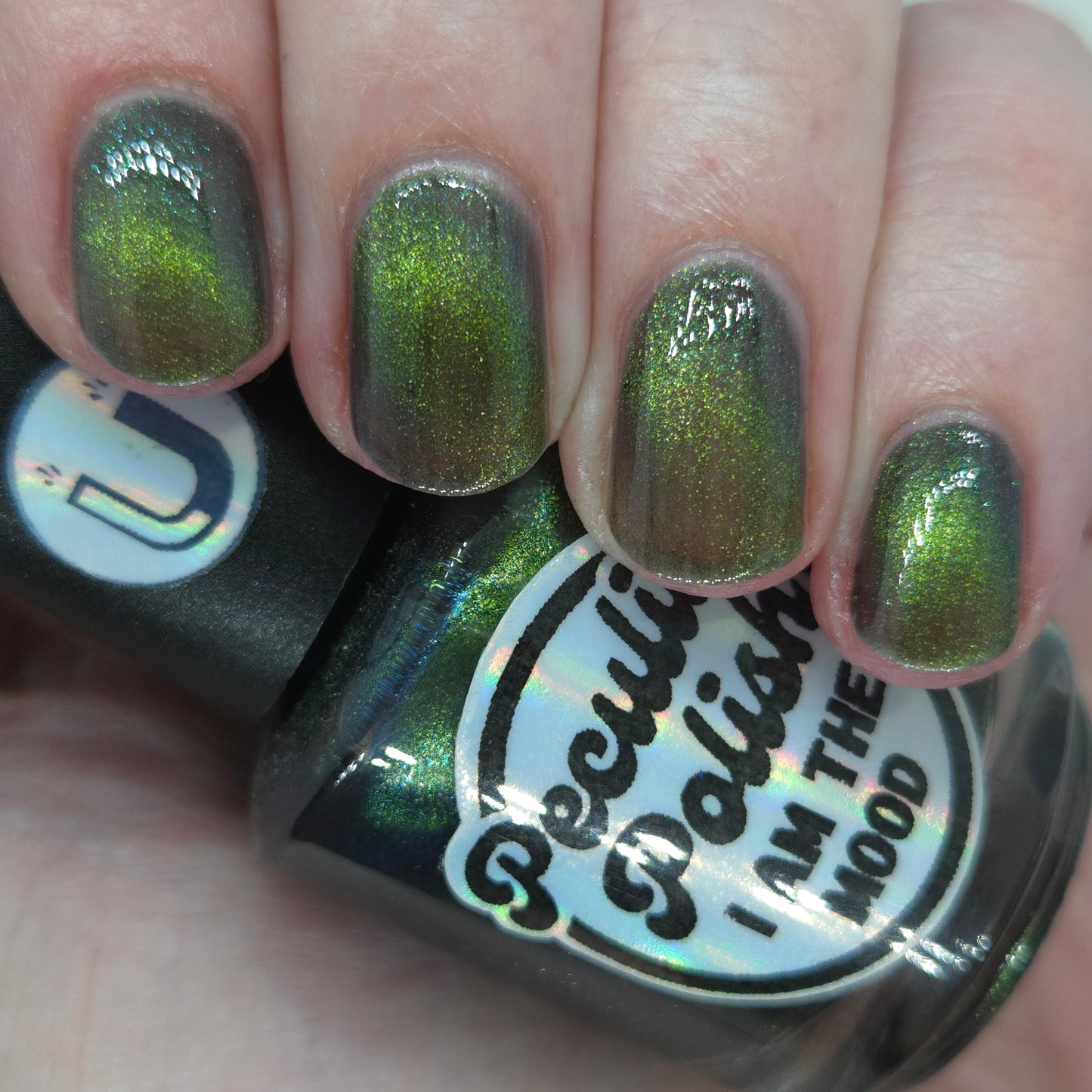 I AM THE MOOD (magnetic)