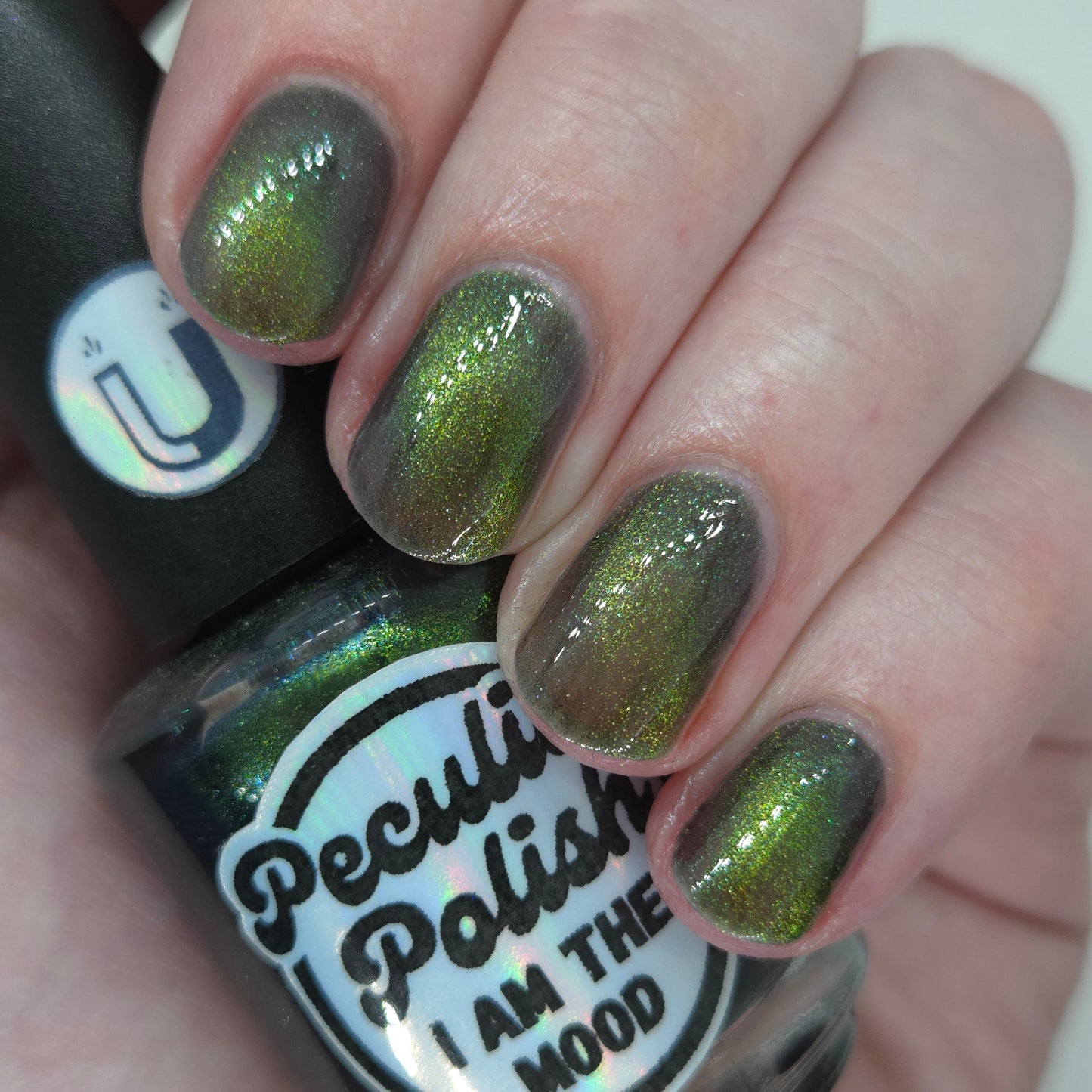 I AM THE MOOD (magnetic)