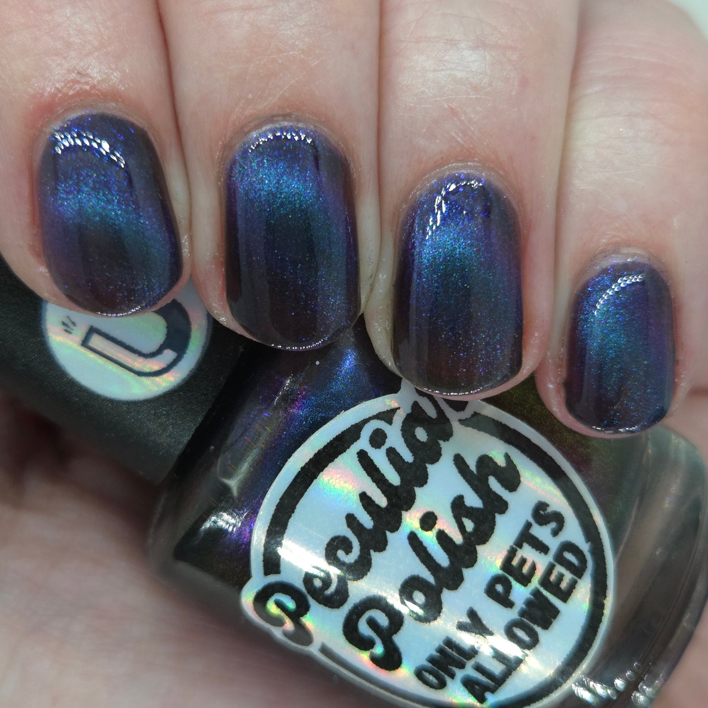 ONLY PETS ALLOWED (magnetic)