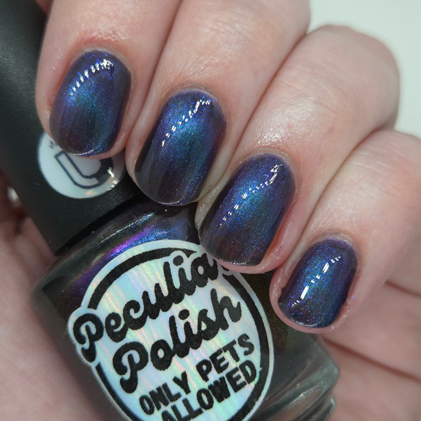 ONLY PETS ALLOWED (magnetic)