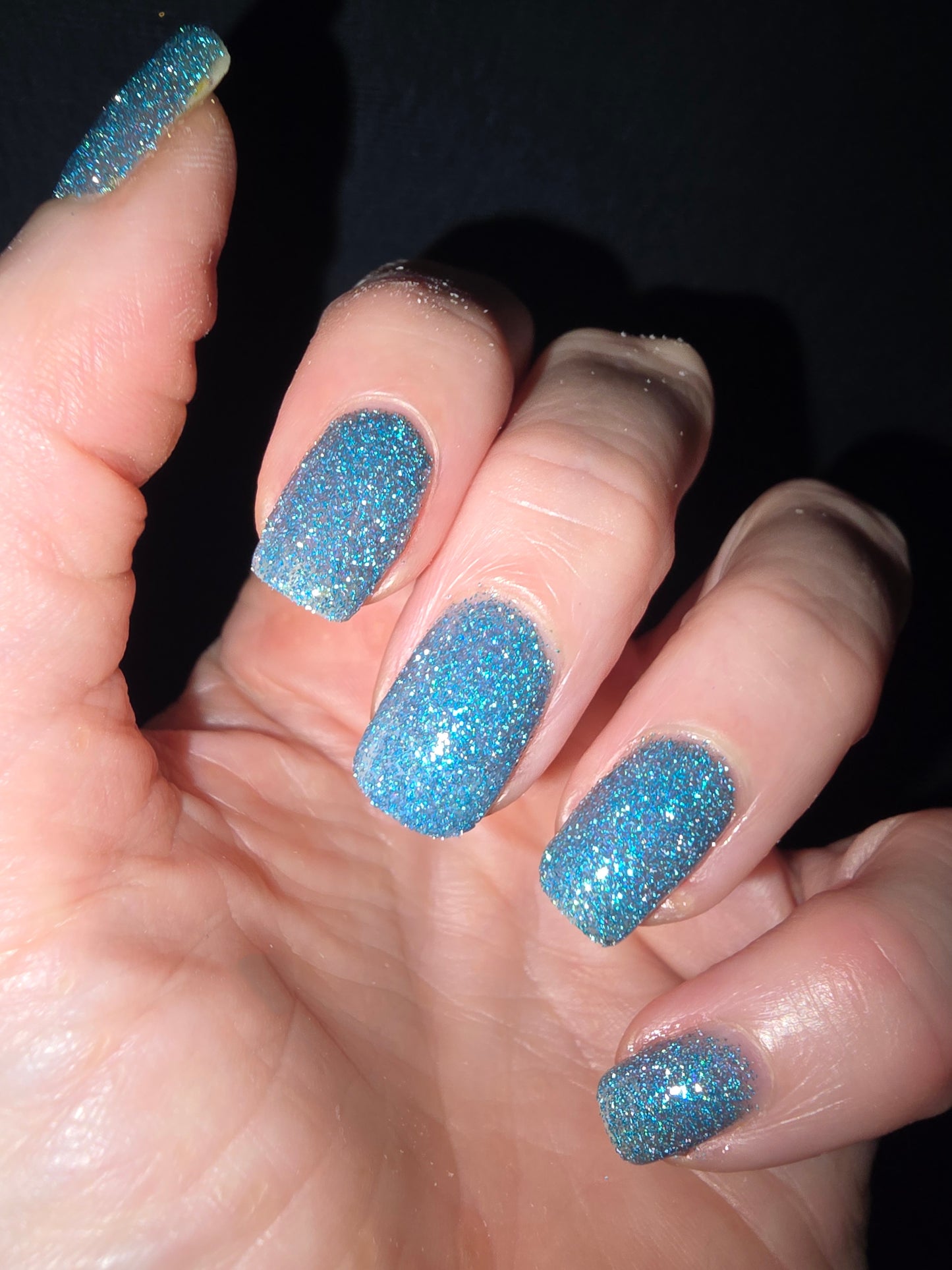 SPARK-A-LEE FOR LIFE (reflective glitter)