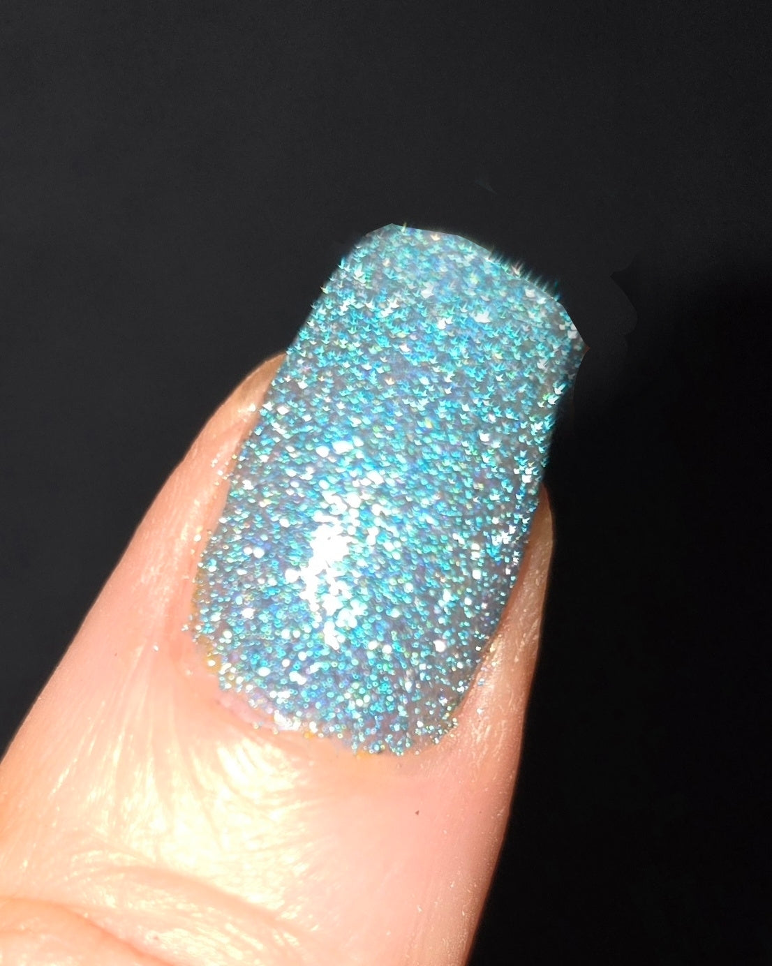 SPARK-A-LEE FOR LIFE (reflective glitter)