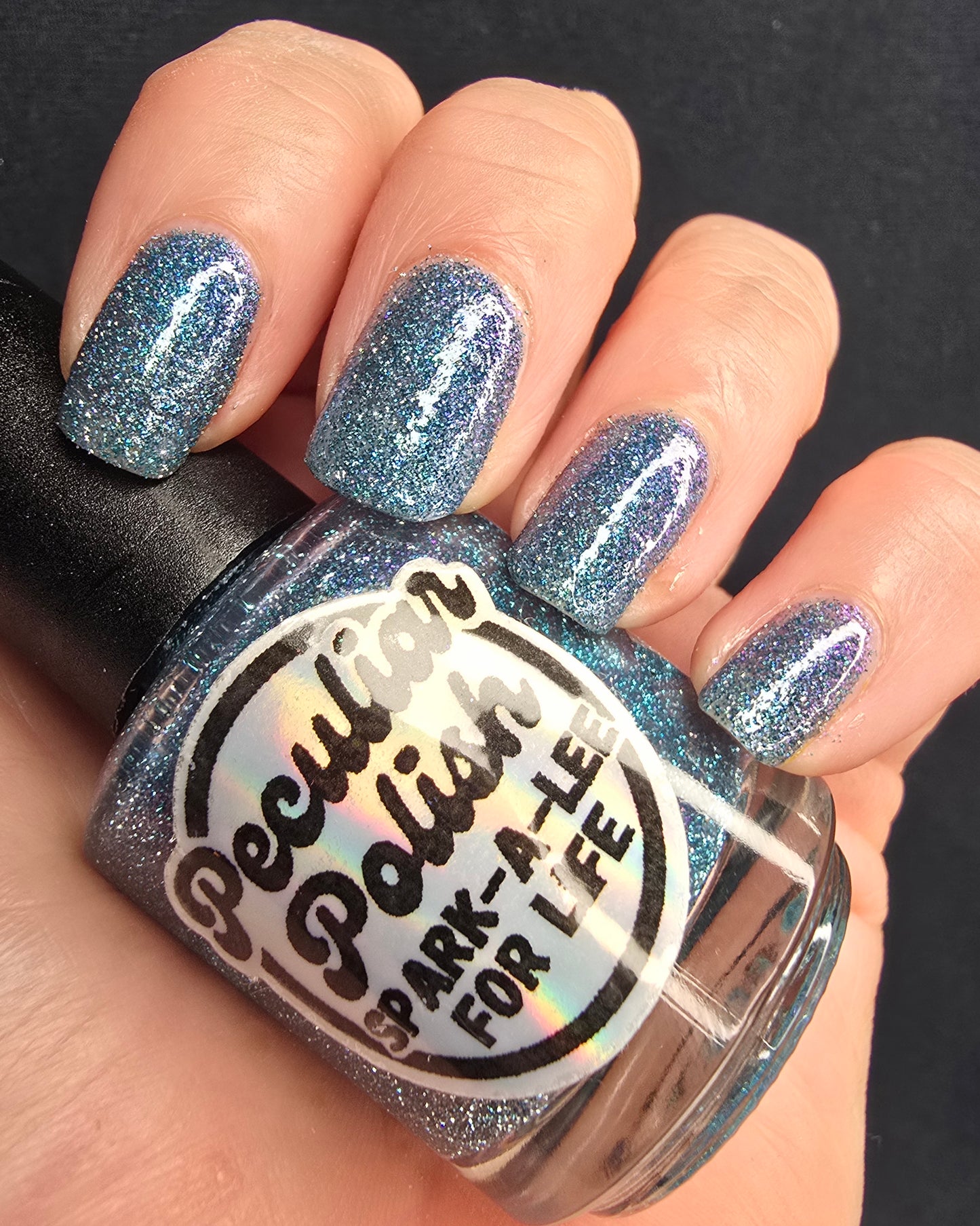 SPARK-A-LEE FOR LIFE (reflective glitter)