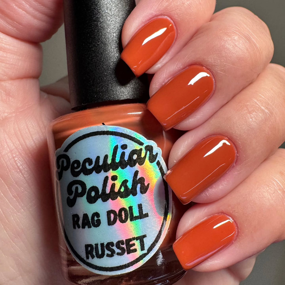RAG DOLL REBELLION (5pc collection)