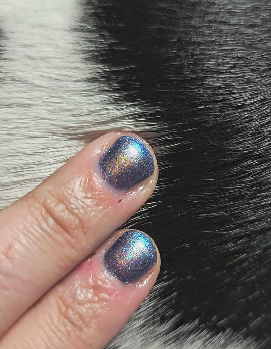 Texas Winter (magnetic)