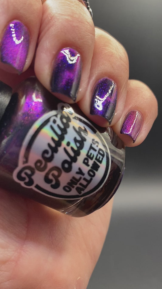 ONLY PETS ALLOWED (magnetic)