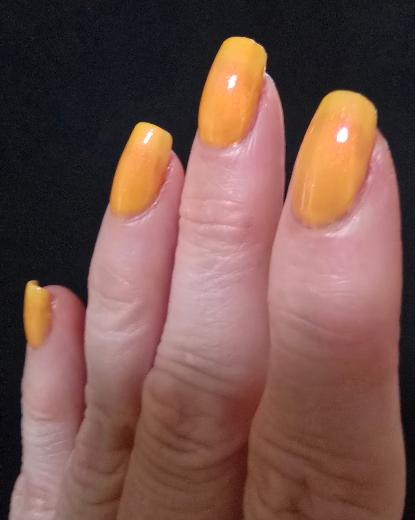 Highlighter