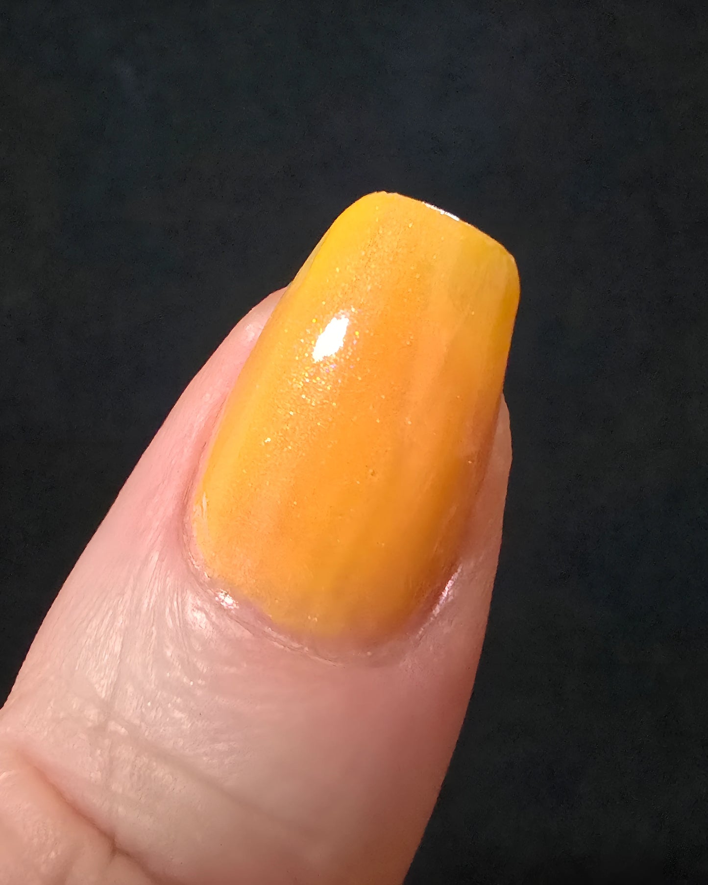 Highlighter